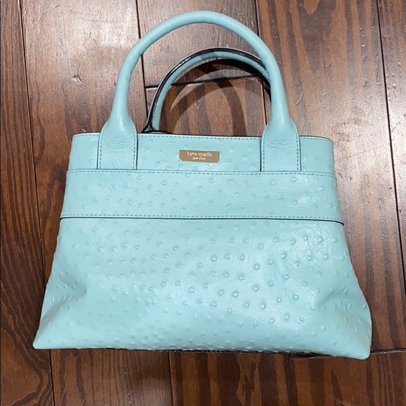 Kate Spade Robins Egg Purse Ostrich - Picture 2 of 5